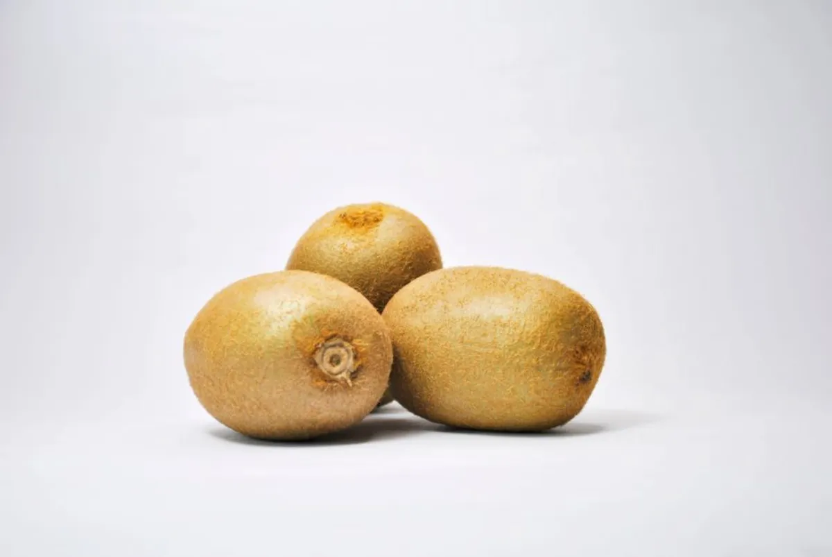 kiwi fruit