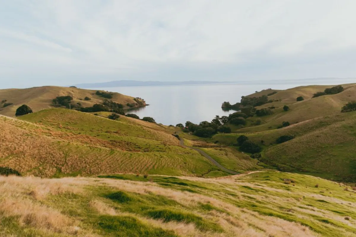 New Zealand landscape