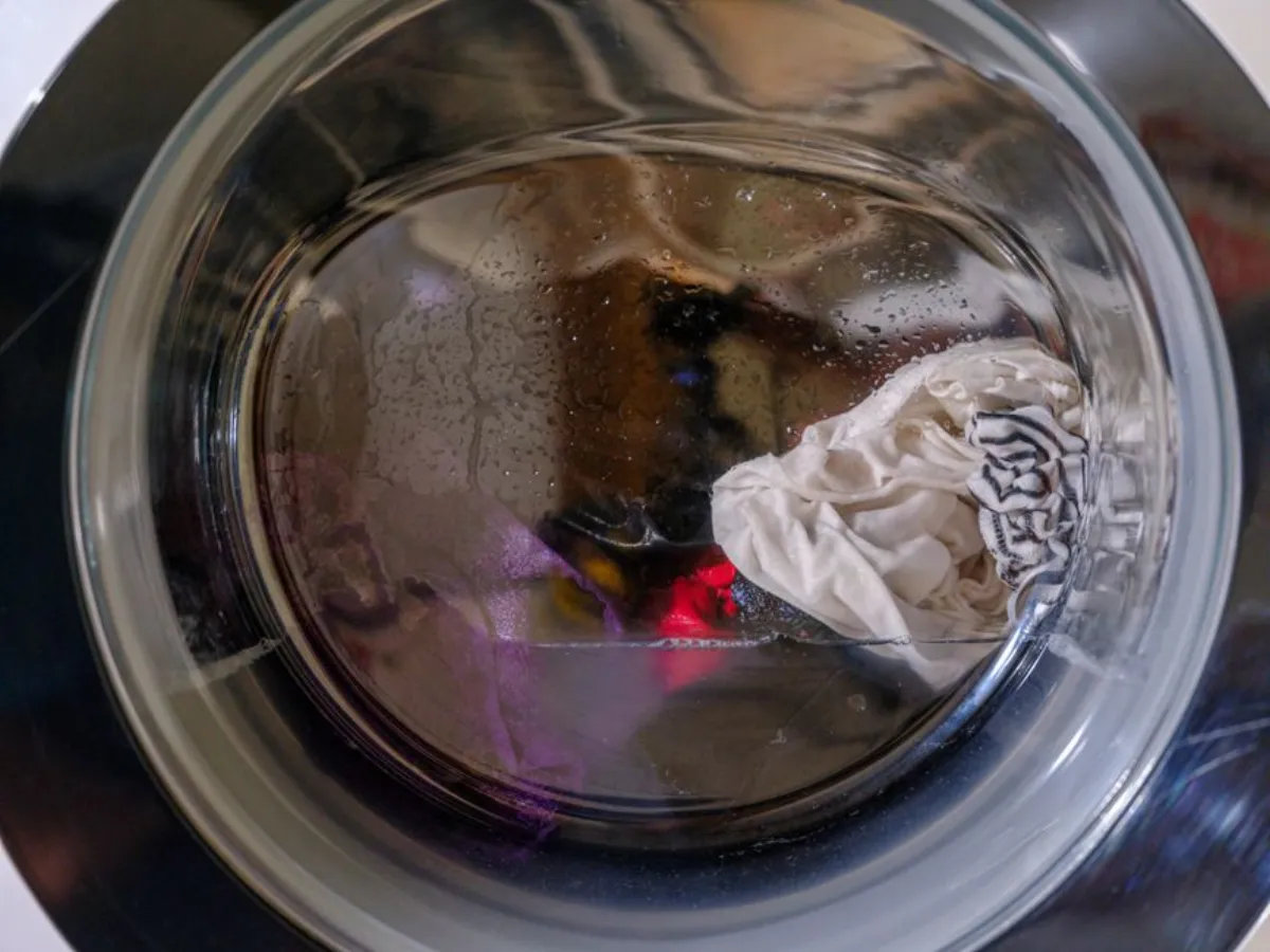 washing machine