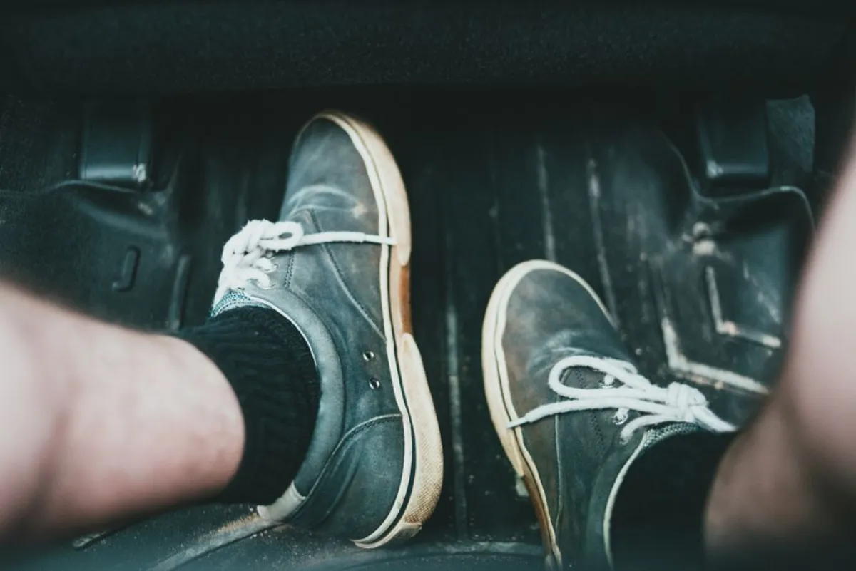shoe insole