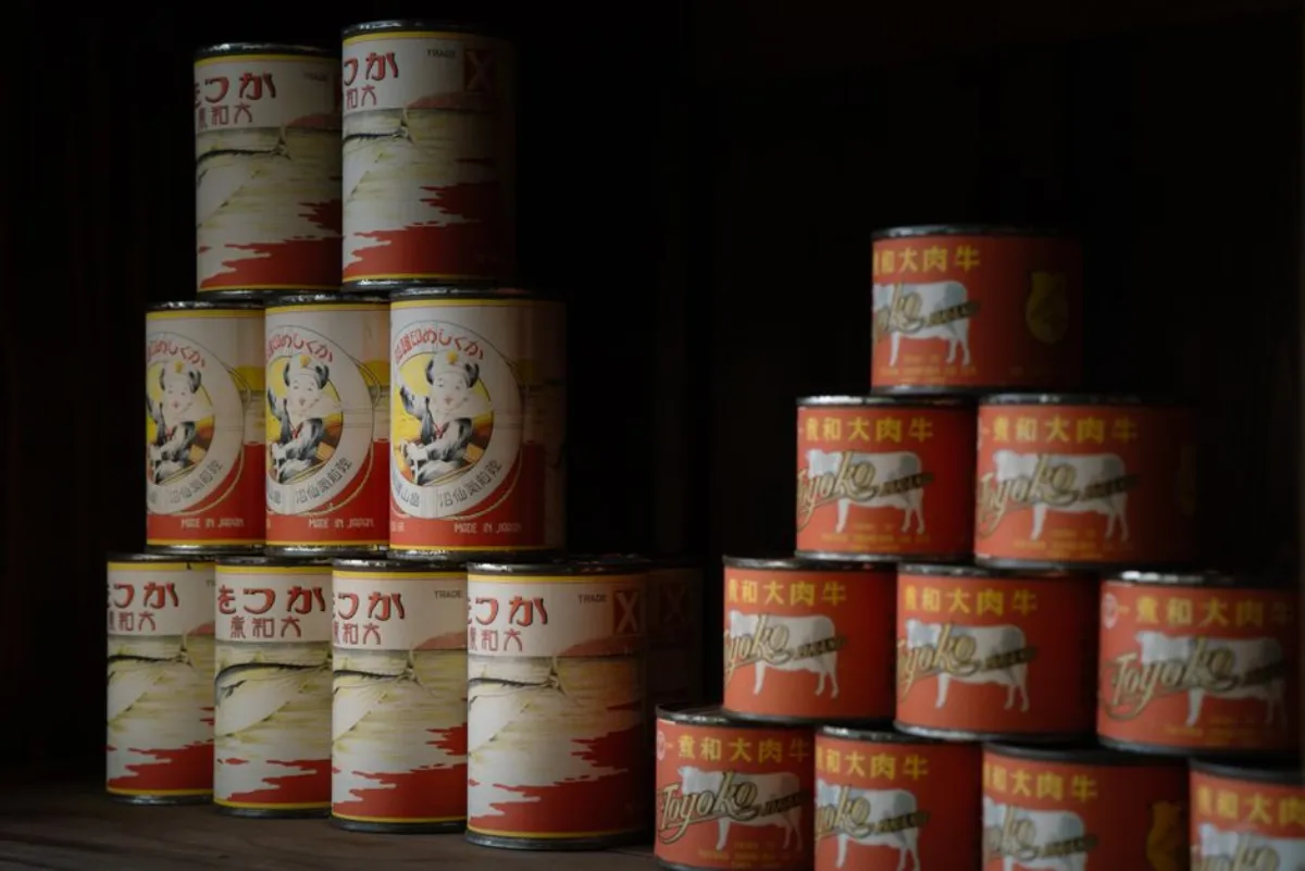 japanese storage