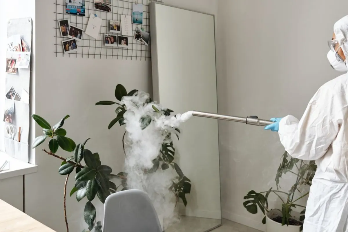steam cleaner