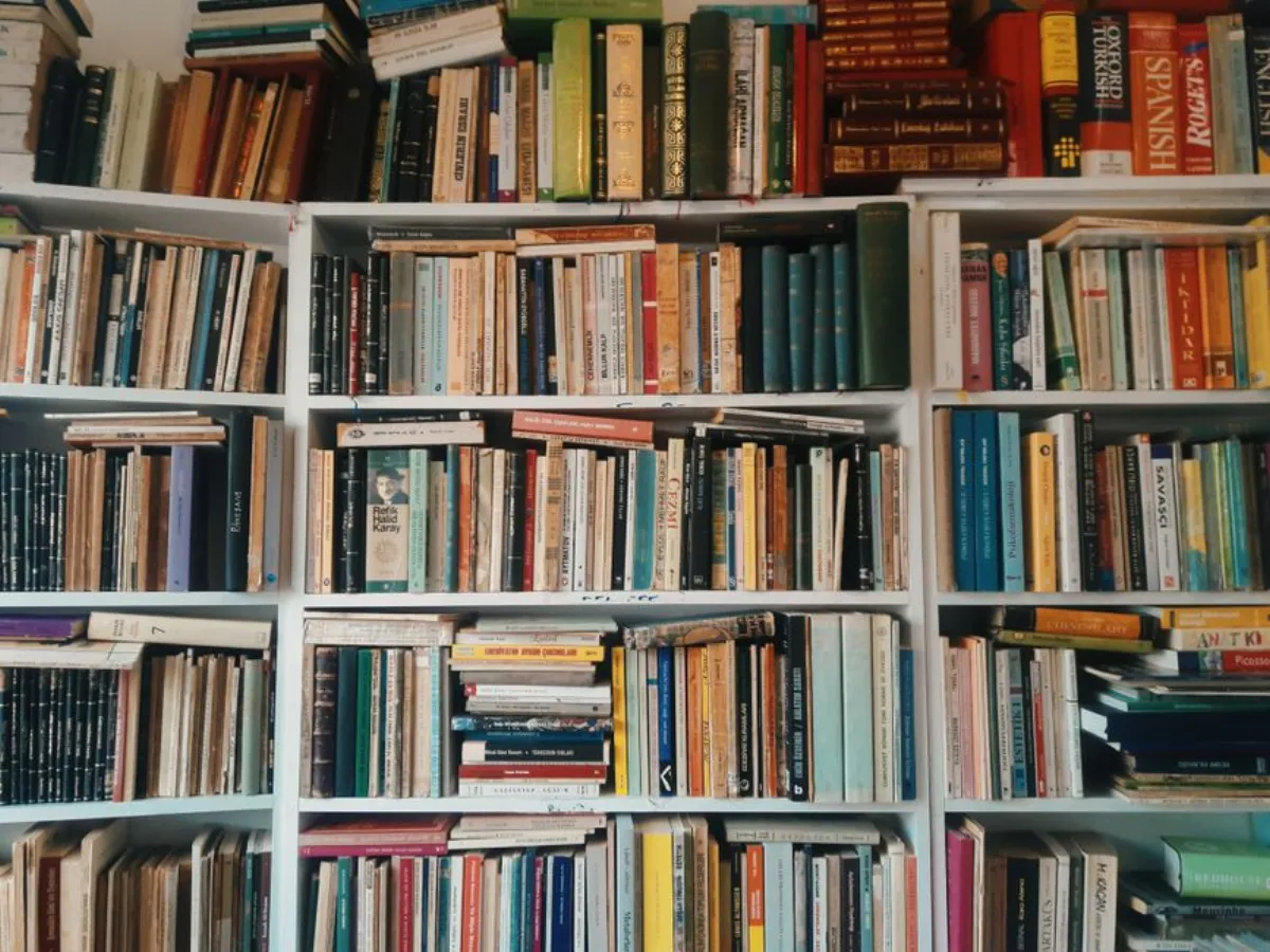 bookshelf storage