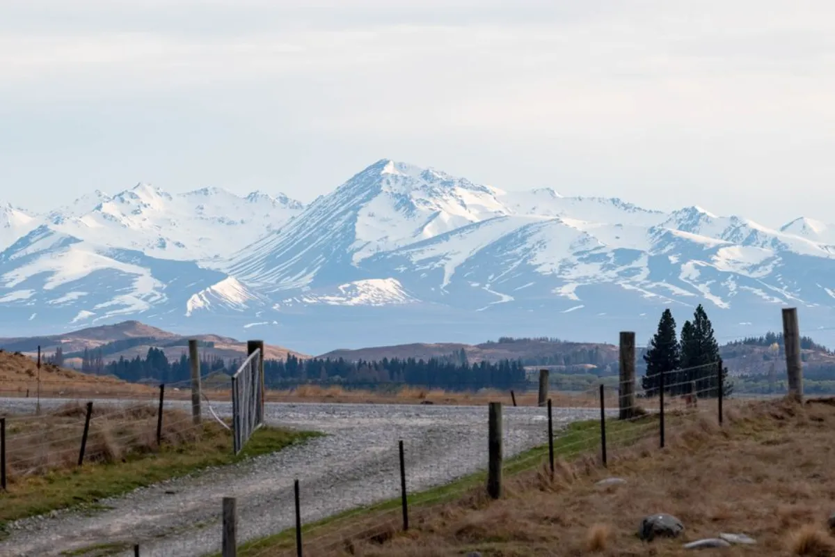 New Zealand landscape