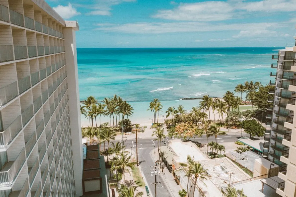 hotel comparison