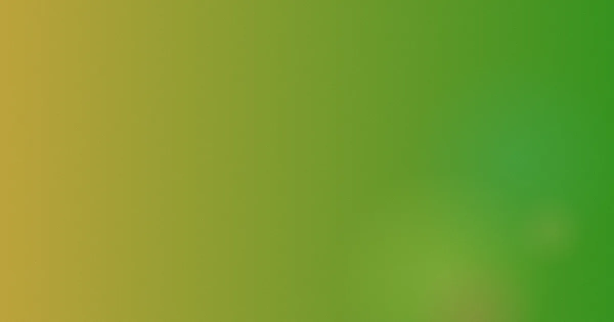 暖暖环游世界加拿大1攻略省钱s值得吗